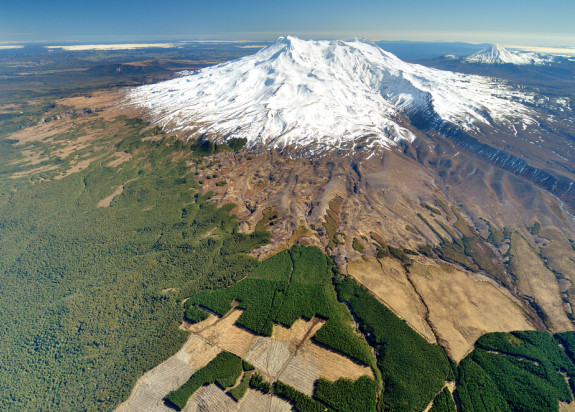 Southeast Ruapehu from above Karioi Forest