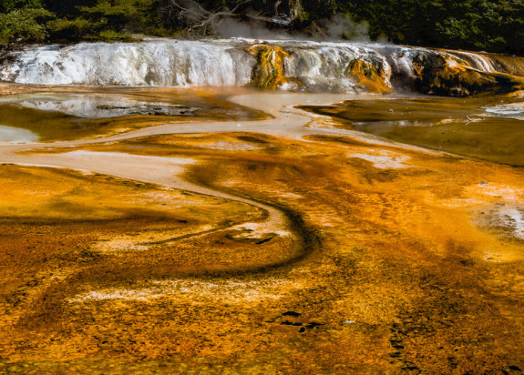 Geothermal activity at Waimangu Volcanic Valley