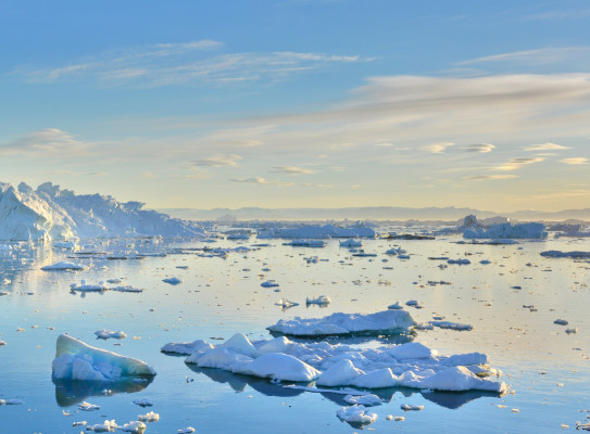 Greenland icebergs and ice sheet