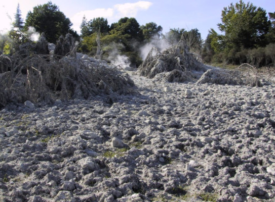 Erupted debris after 2001 hydrothermal eruption in Kuirau Park