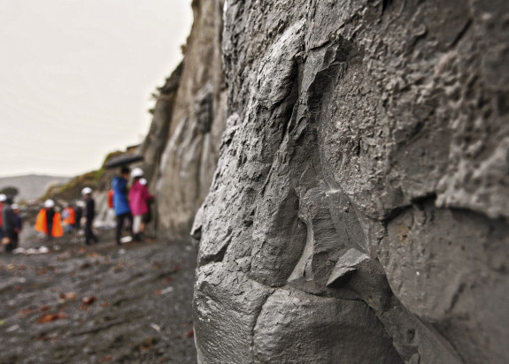 Stepping Into The Shoes Of Scientists With GeoCamp Wairarapa - GNS ...