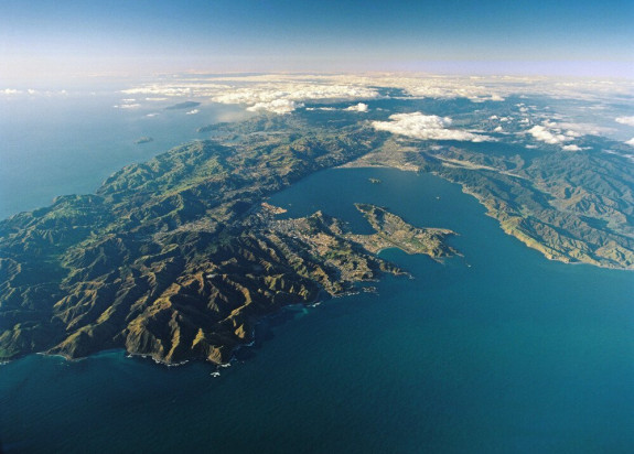 High altitude view of Wellington harbour and faultline. Credit Lloyd Homer