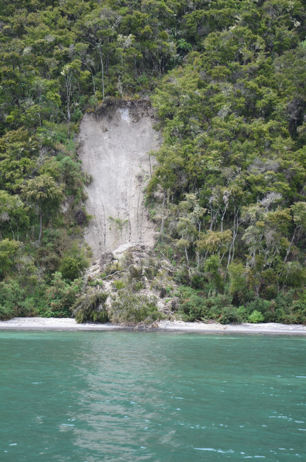 Landslides along White Cliffs Lake Taupo following Nov 30 M5.7 earthquake GNS