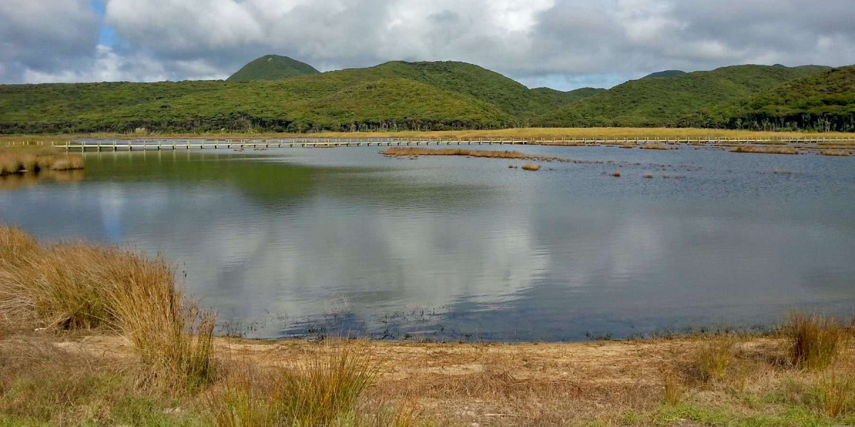 Exploring the current and historic health of New Zealand's most ...