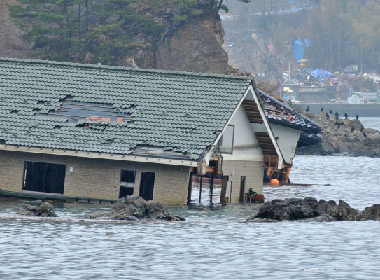 2011 Tohoku earthquake tsunami