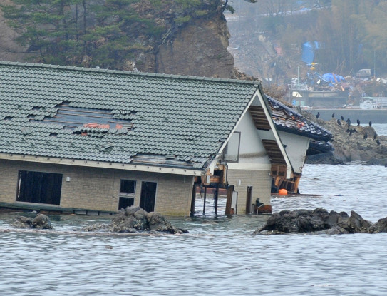 2011 Tohoku earthquake tsunami