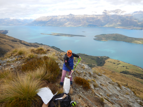 Taking a soil sample for geochemical analysis in the hills above Lake Wakatipu credit A. P Martin