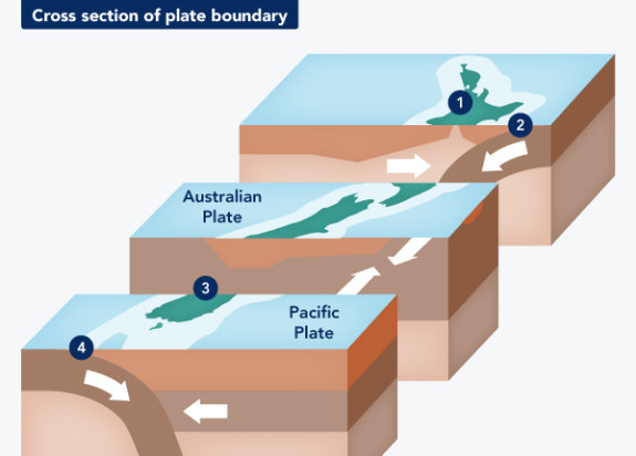 An anchor chart I made all about plate boundaries: transform, divergent,  convergent. | Earth science lessons, Science anchor charts, Sixth grade  science