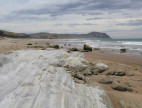 2016 01 08 283 Whakataki Fmn Herbertville Beach