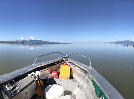 Boat on Lake Wairarapa Lakes380