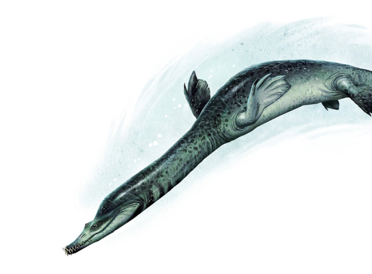 Sauropterygian v01