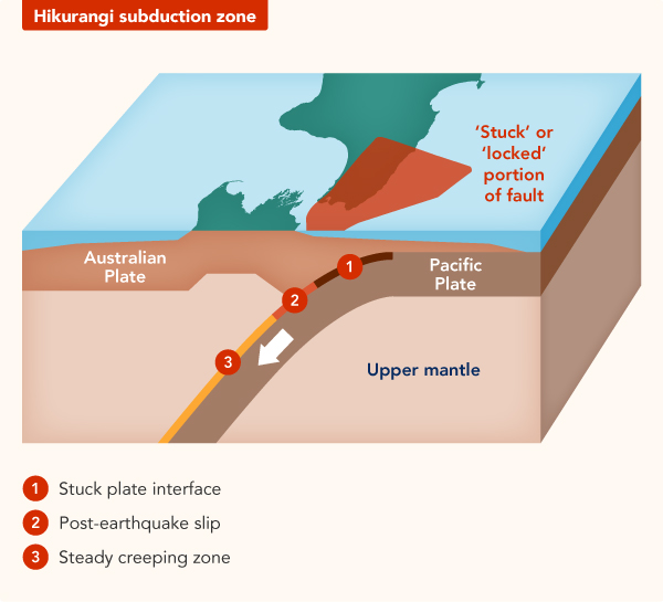 NHR7 Hikurangi subduction zone FA